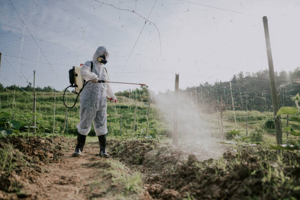 Best Mosquito Control Services  in Summitville, IN