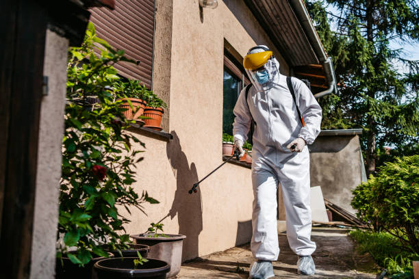 Reliable Summitville, IN Pest Control Solutions