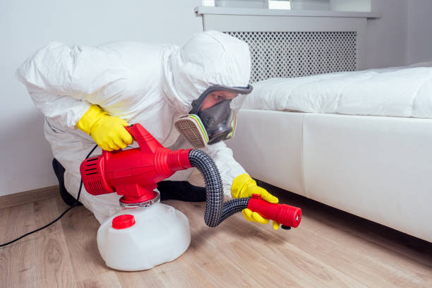 Best Affordable Pest Control Services  in Summitville, IN