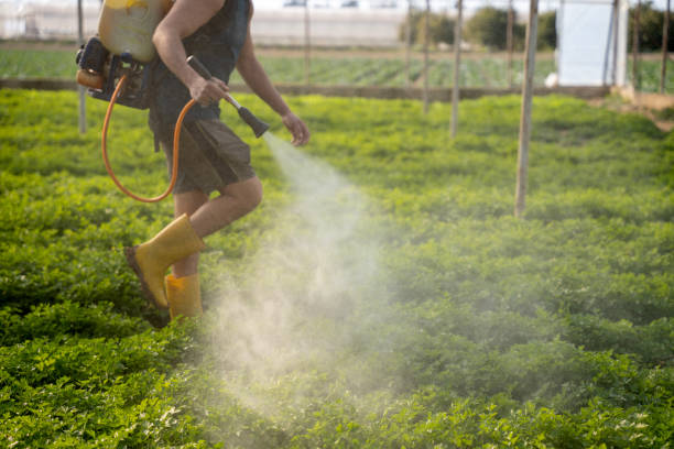 Best Pest Control for Businesses  in Summitville, IN