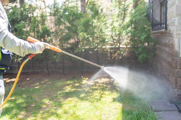 Best Pest Removal Services  in Summitville, IN