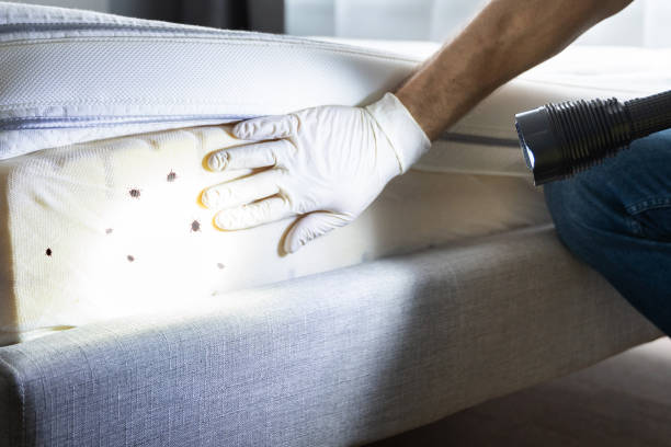 Best Residential Pest Control  in Summitville, IN